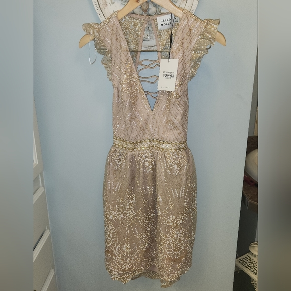 Hello Molly Roaming Free Dress Champagne - Picture 3 of 3